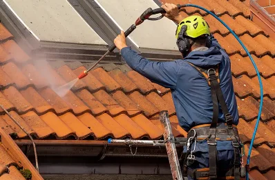 Démoussage et hydrofuge de toiture à Lullin